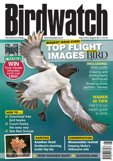 Birdwatch Magazine issue 