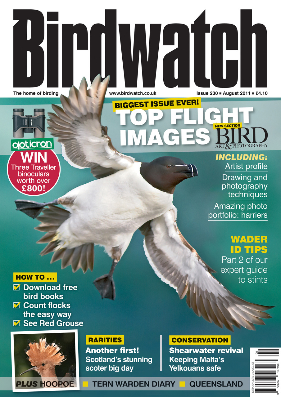 Birdwatch Magazine Preview Pages