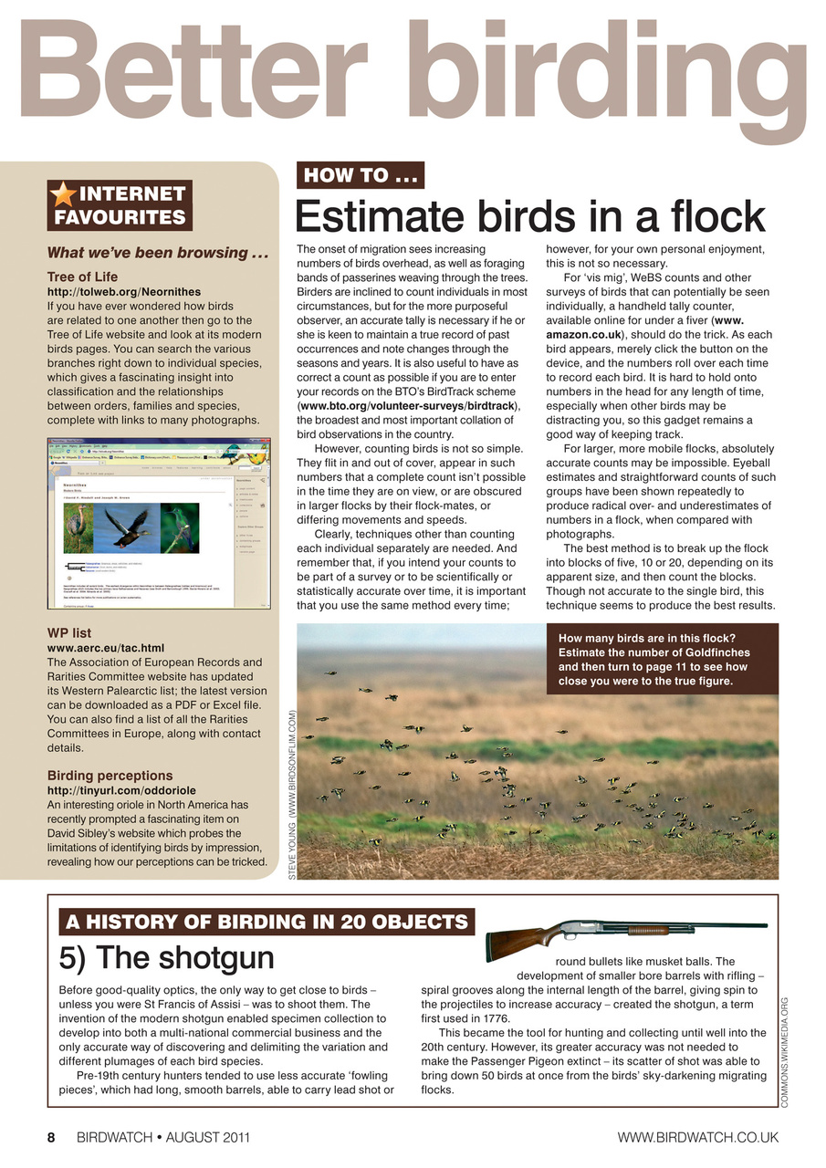 Birdwatch Magazine Preview Pages
