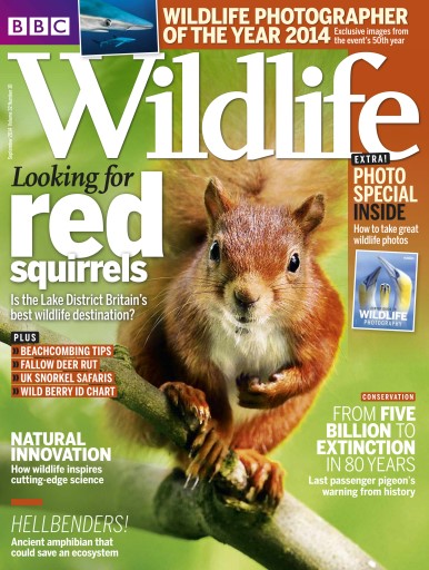BBC Wildlife Magazine issue 