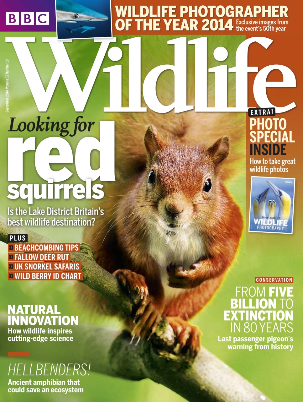BBC Wildlife Magazine Preview Pages
