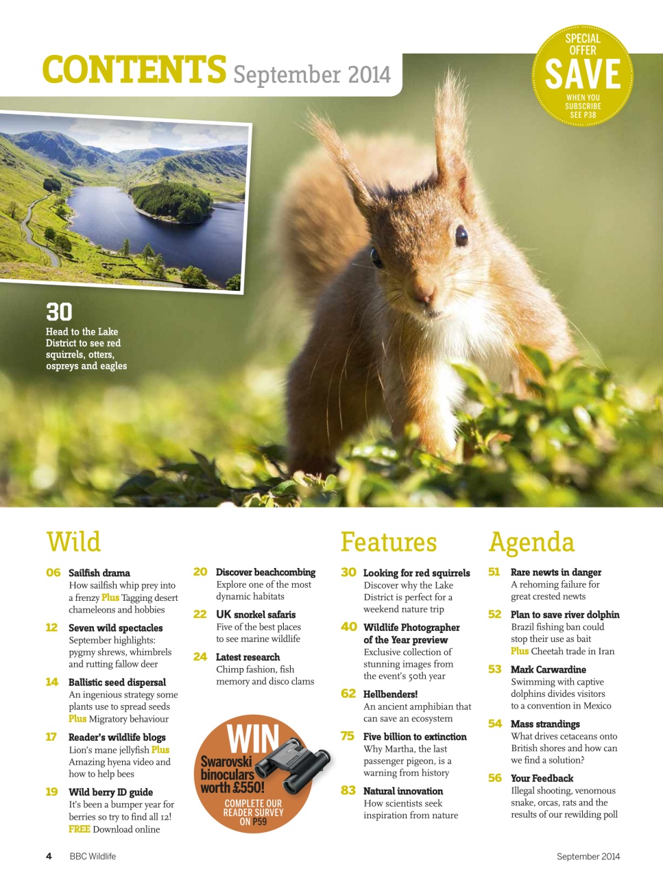 BBC Wildlife Magazine Preview Pages
