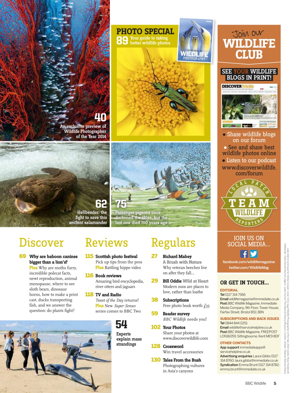 BBC Wildlife Magazine Preview Pages
