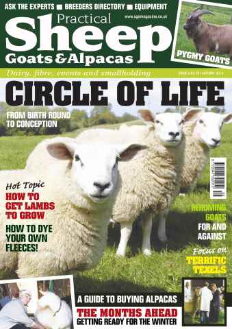 The Smallholder issue No.6 Circle of life