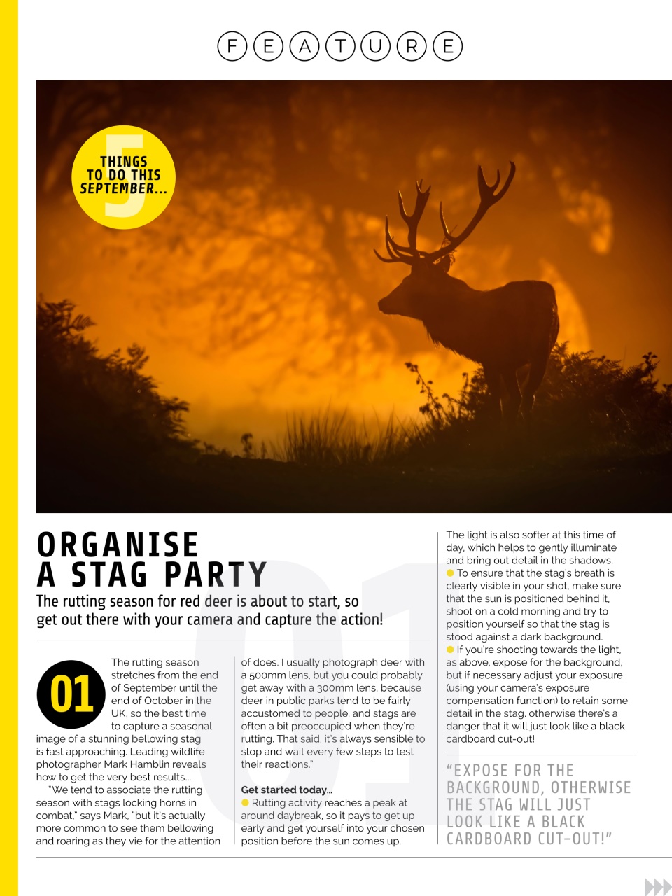 Photography Week Preview Pages