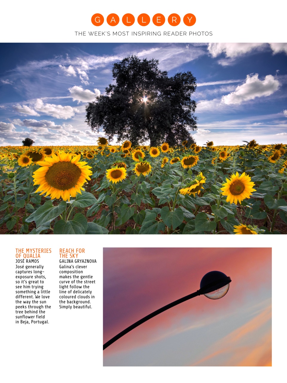 Photography Week Preview Pages
