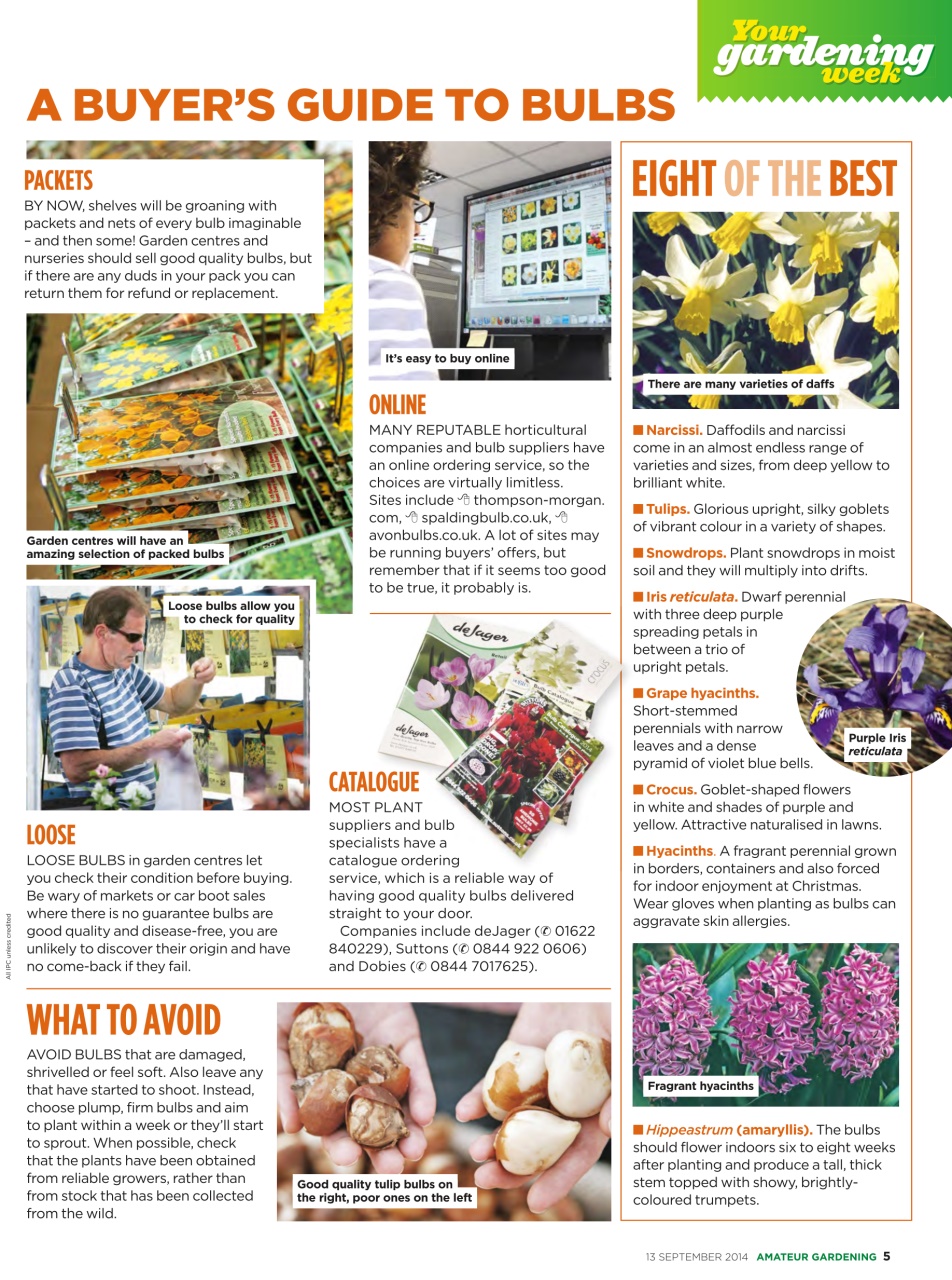 Amateur Gardening Preview Pages