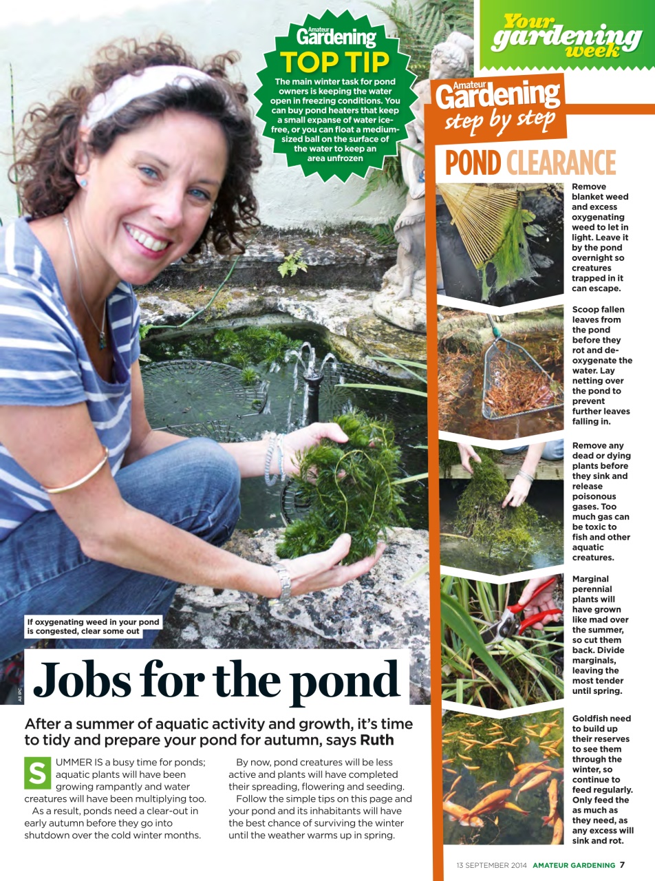 Amateur Gardening Preview Pages