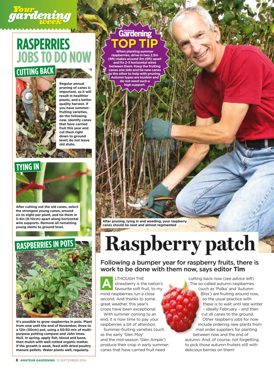 Amateur Gardening Preview Pages