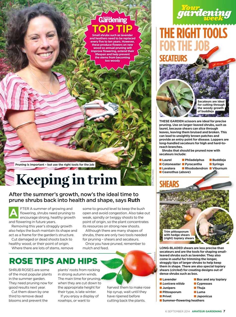 Amateur Gardening Preview Pages