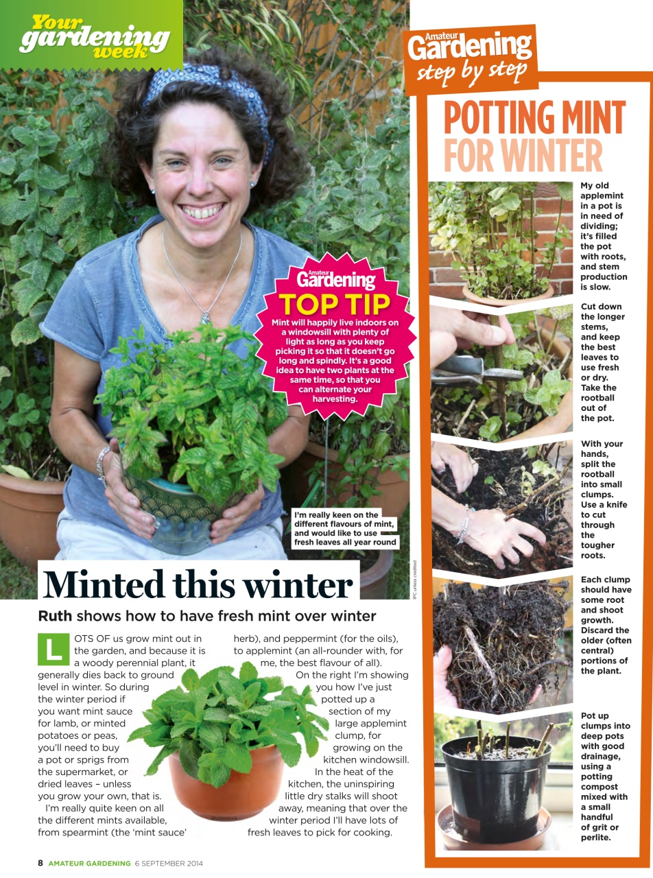 Amateur Gardening Preview Pages