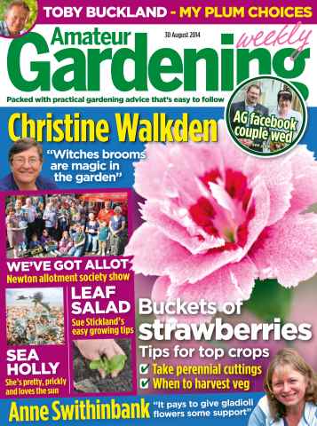Amateur Gardening issue 30th August 2014