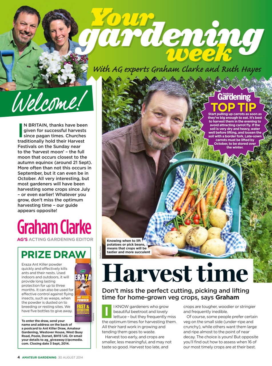 Amateur Gardening Preview Pages
