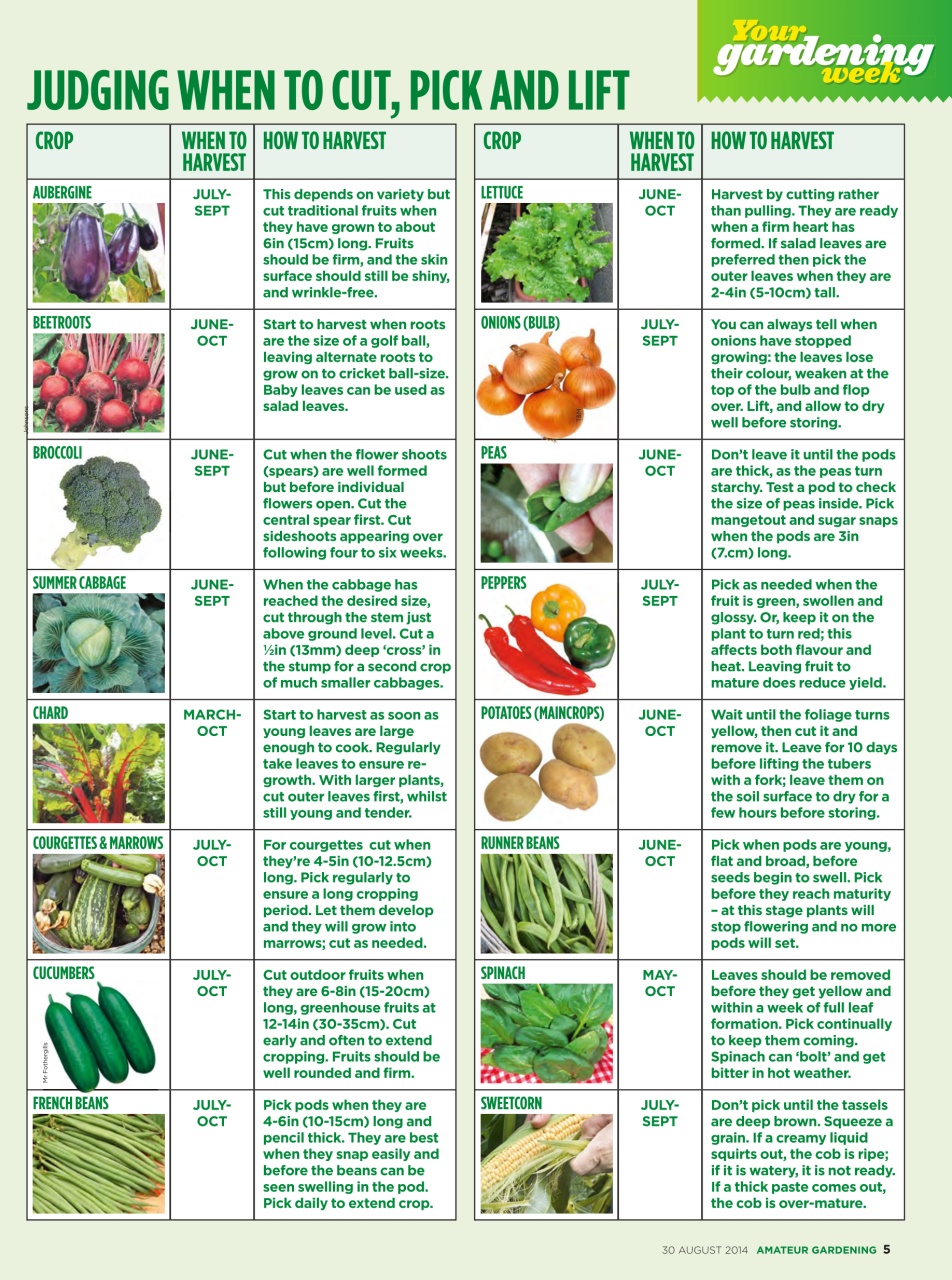 Amateur Gardening Preview Pages
