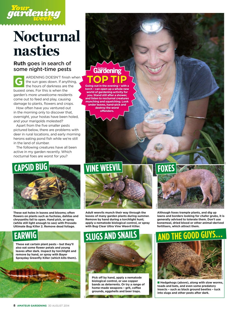 Amateur Gardening Preview Pages