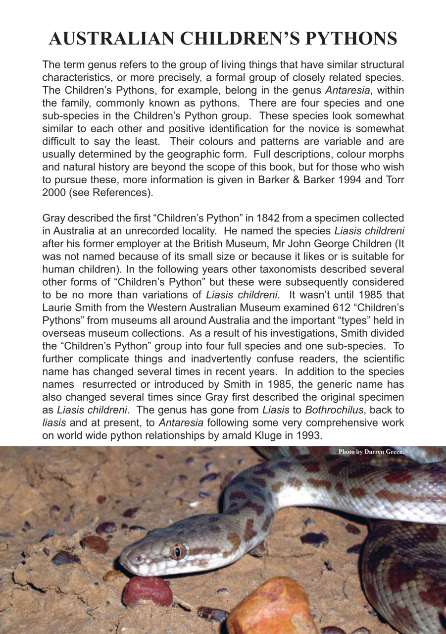 Reptile Publications Preview Pages