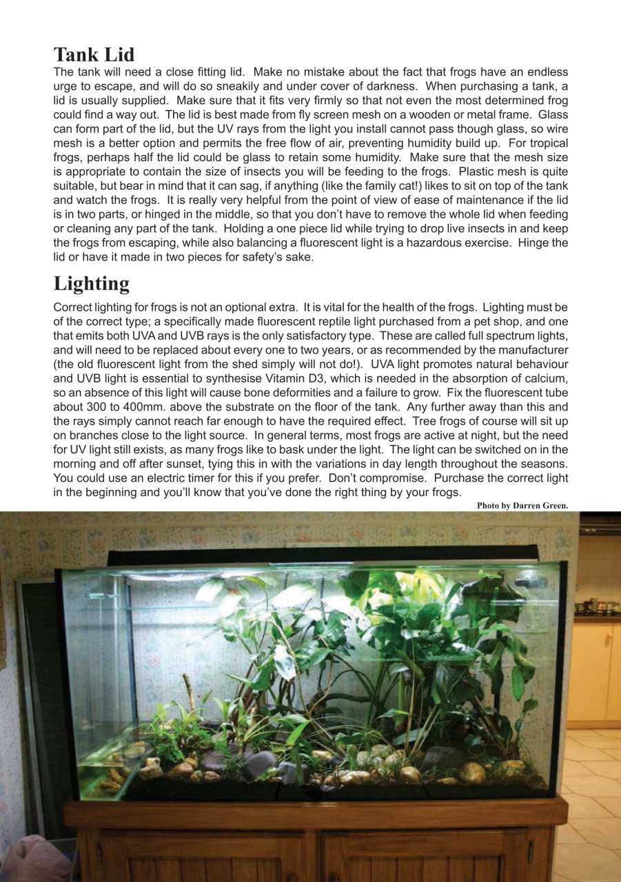 Reptile Publications Preview Pages