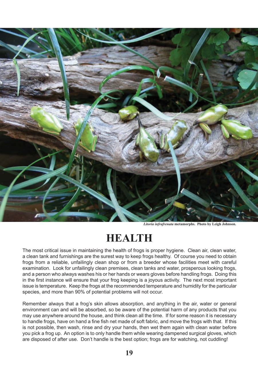 Reptile Publications Preview Pages