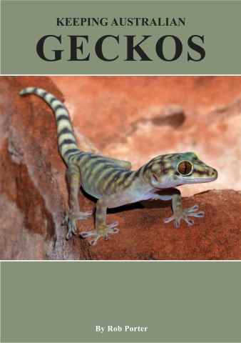 Reptile Publications issue Keeping Australian Geckos