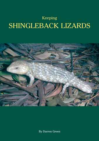 Keeping Shingleback Lizards issue Keeping Shingleback Lizards