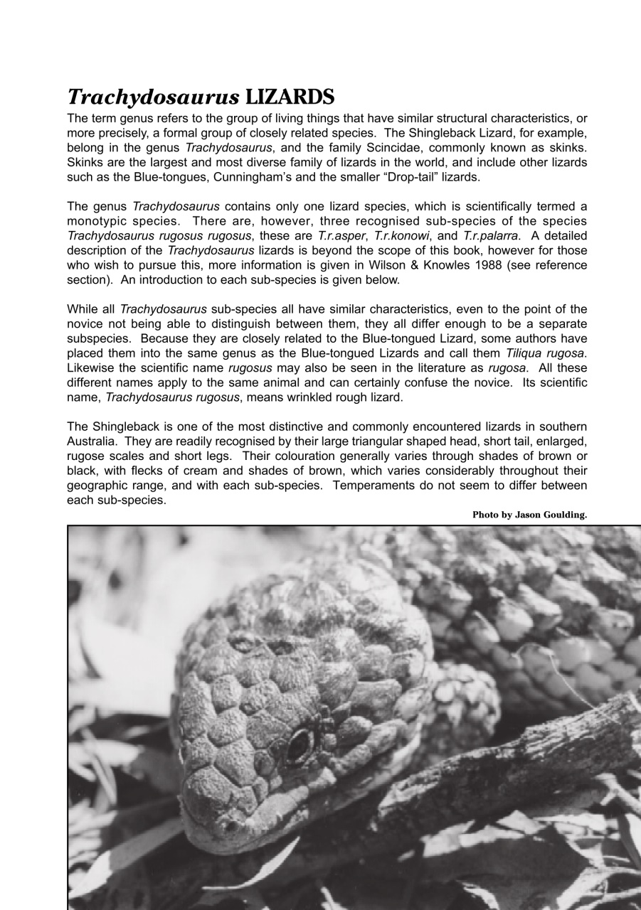 Reptile Publications Preview Pages