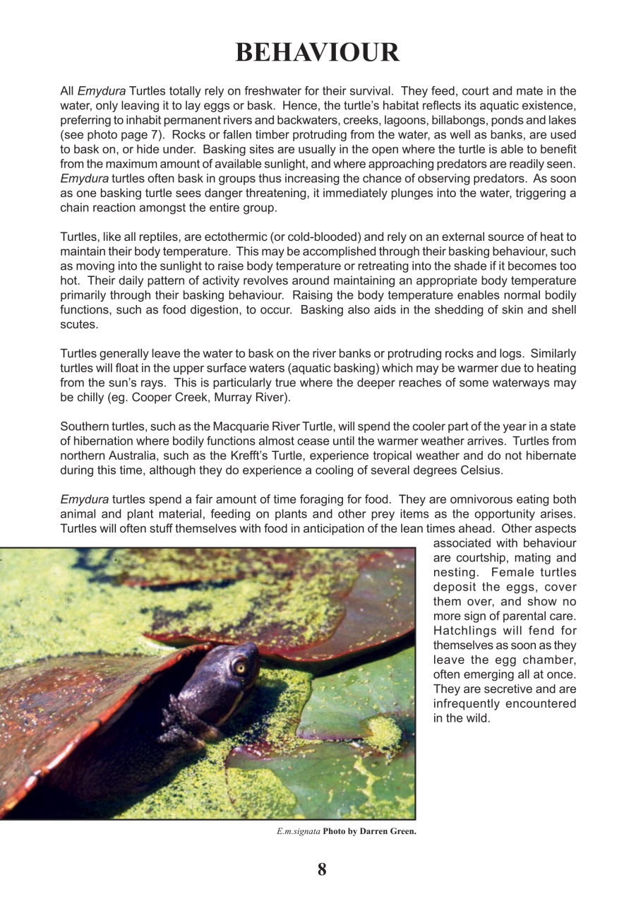 Reptile Publications Preview Pages