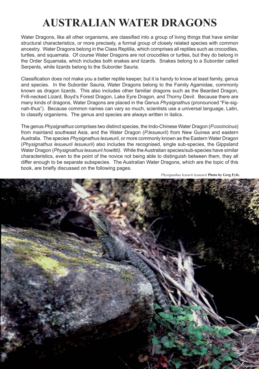 Reptile Publications Preview Pages