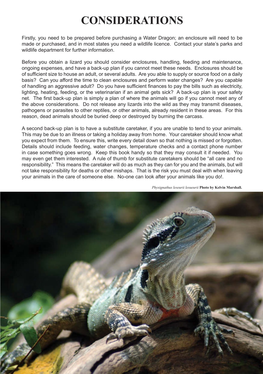 Reptile Publications Preview Pages