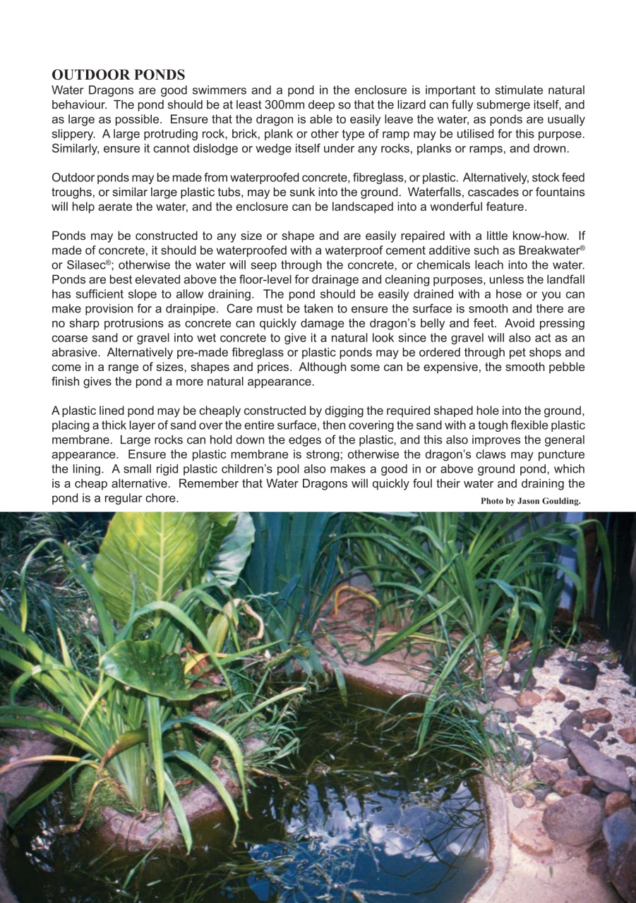 Reptile Publications Preview Pages