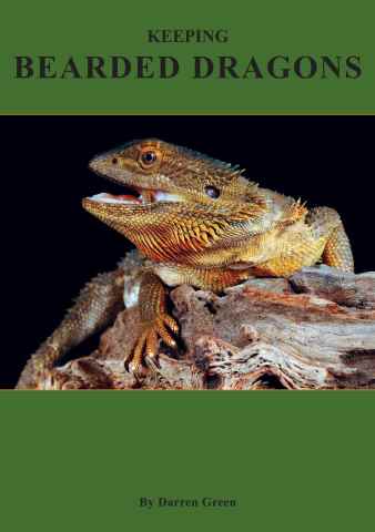 Keeping Bearded Dragons issue Keeping Bearded Dragons