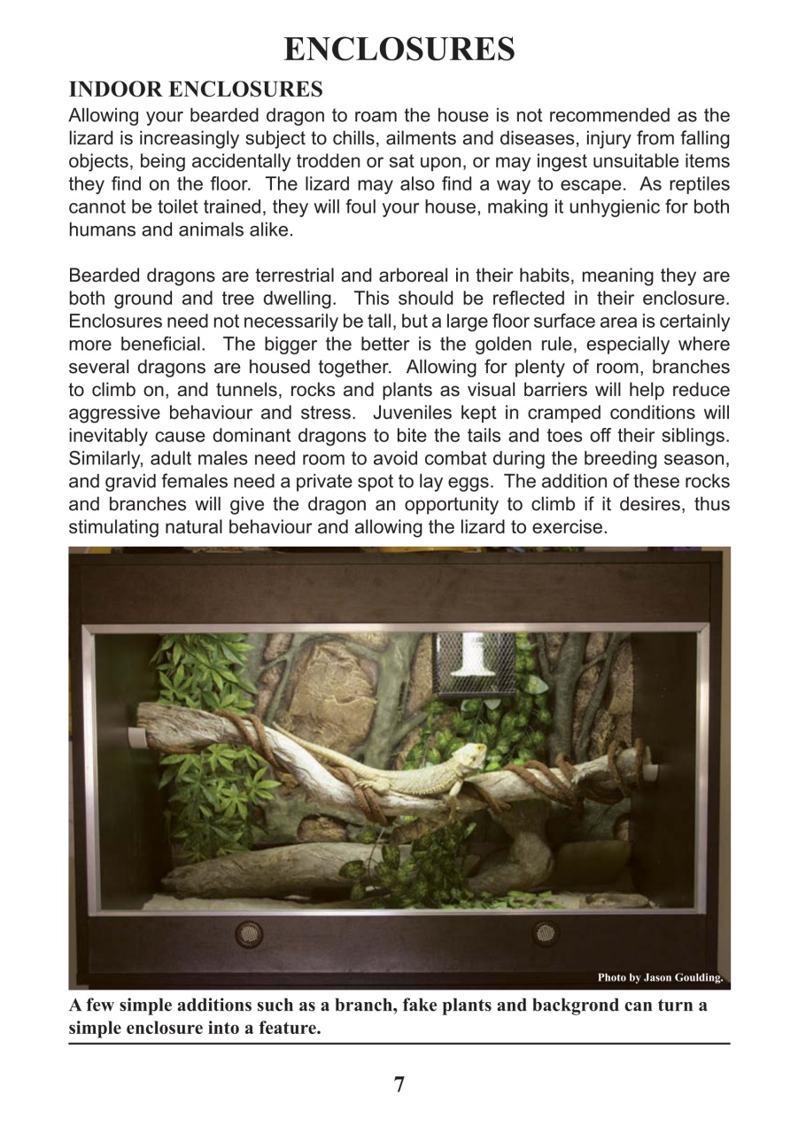 Reptile Publications Preview Pages