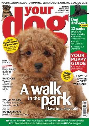 Your Dog issue Your Dog Magazine October 2014