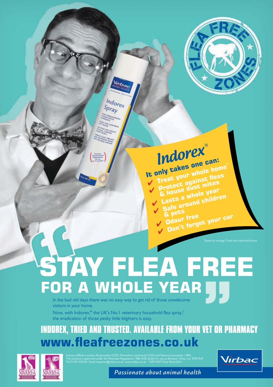 Your Dog Preview Pages