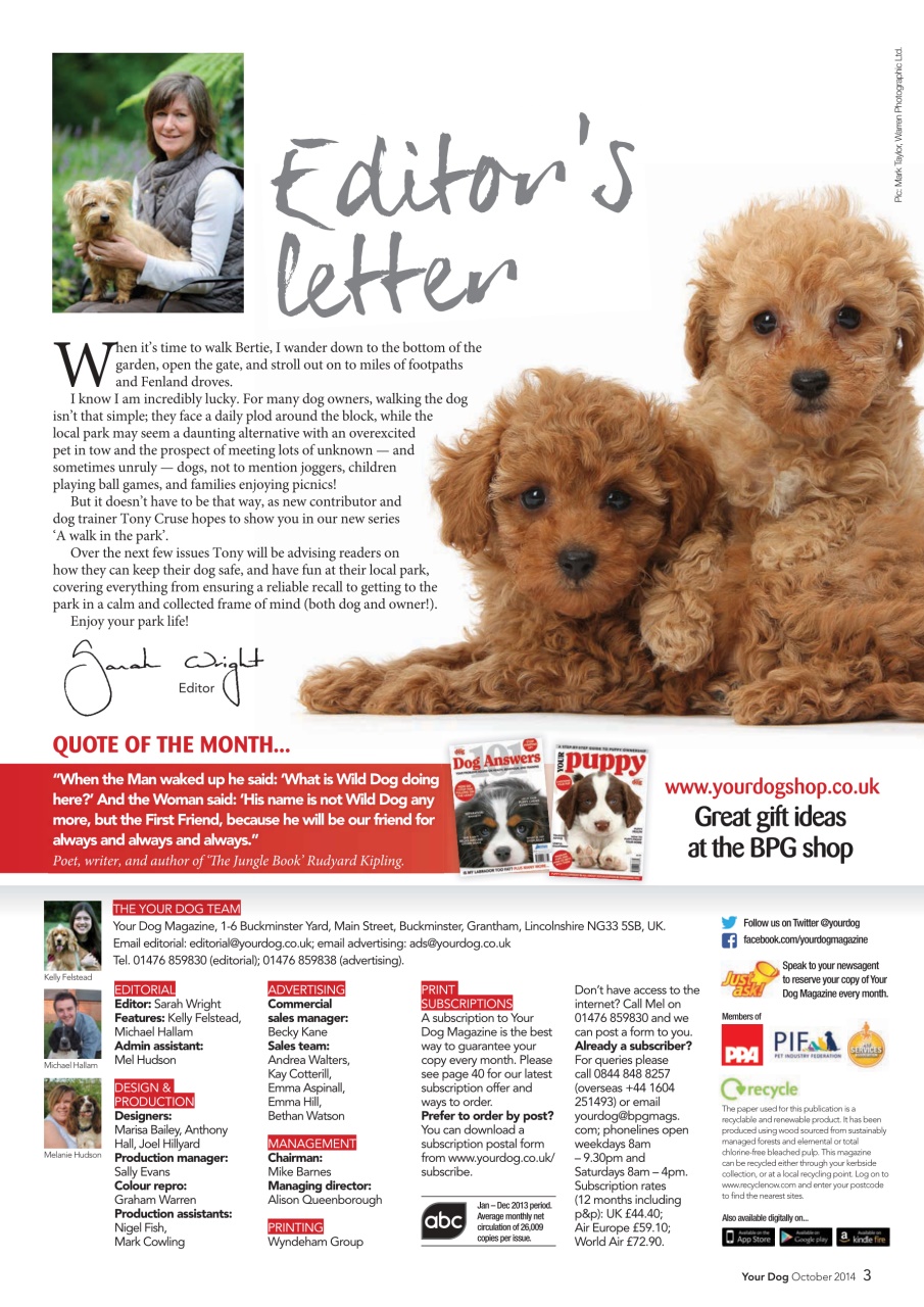 Your Dog Preview Pages