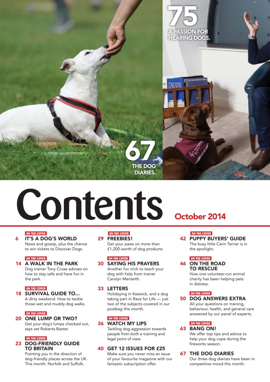 Your Dog Preview Pages