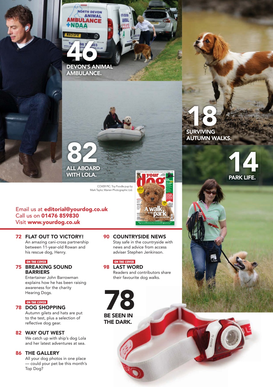 Your Dog Preview Pages