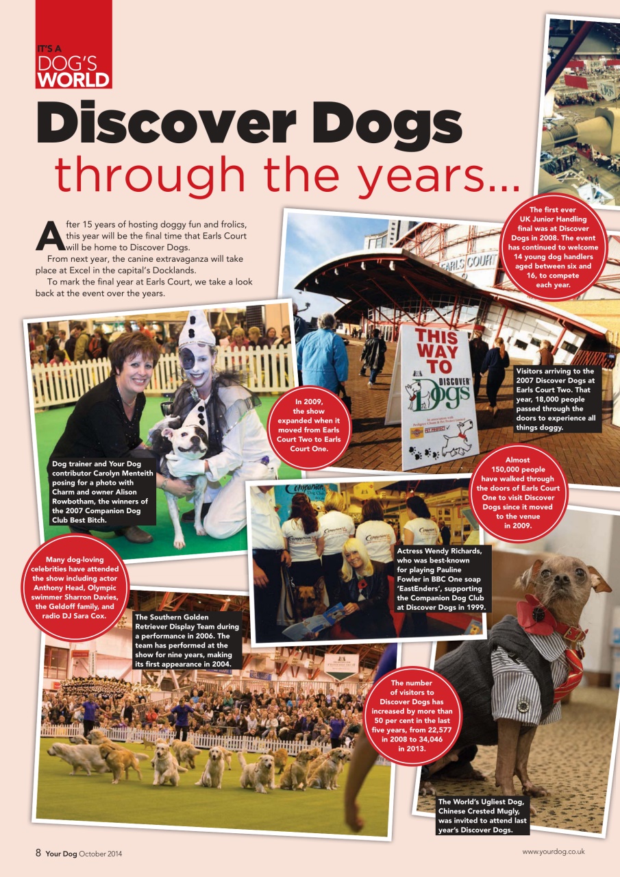 Your Dog Preview Pages