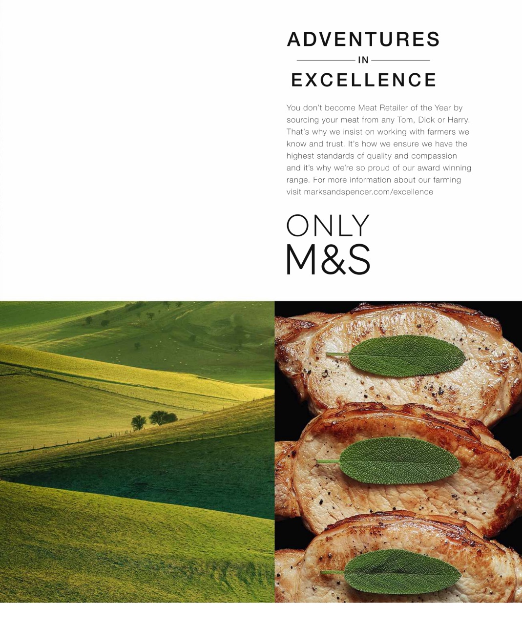 Olive Magazine Preview Pages