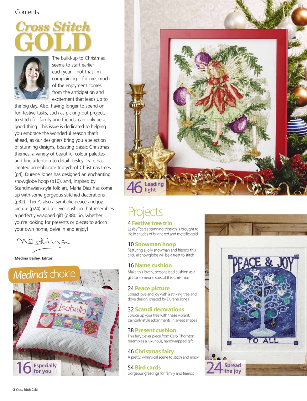 Cross Stitch Gold Preview Pages