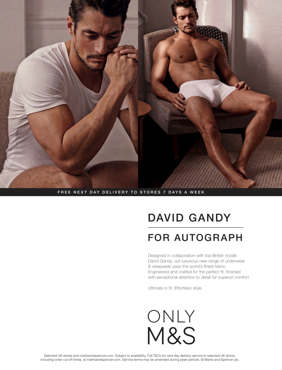 Attitude Preview Pages