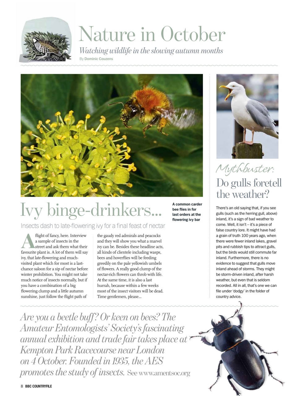 BBC Countryfile Magazine Preview Pages