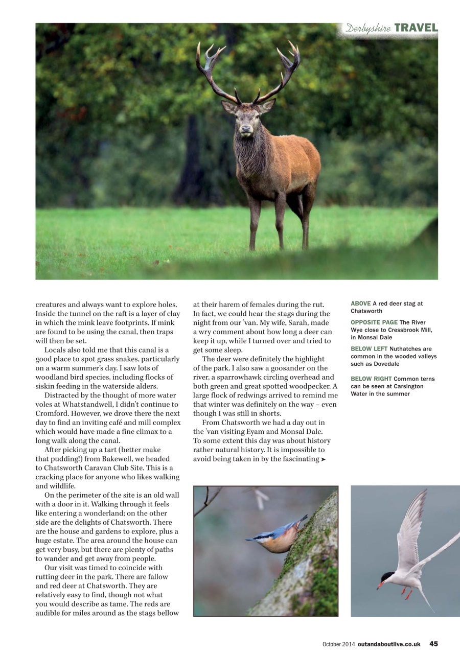 MMM magazine Preview Pages