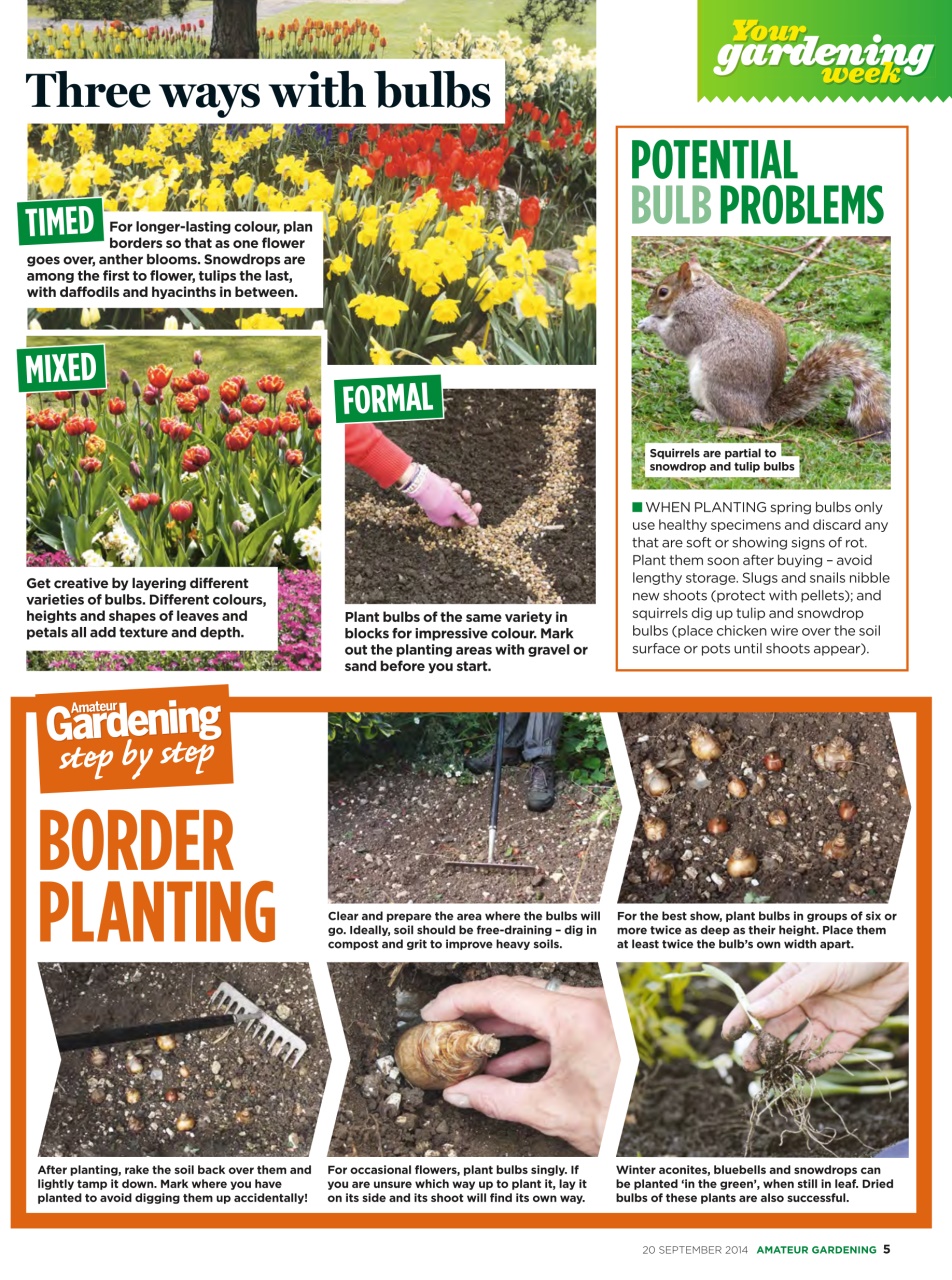 Amateur Gardening Preview Pages