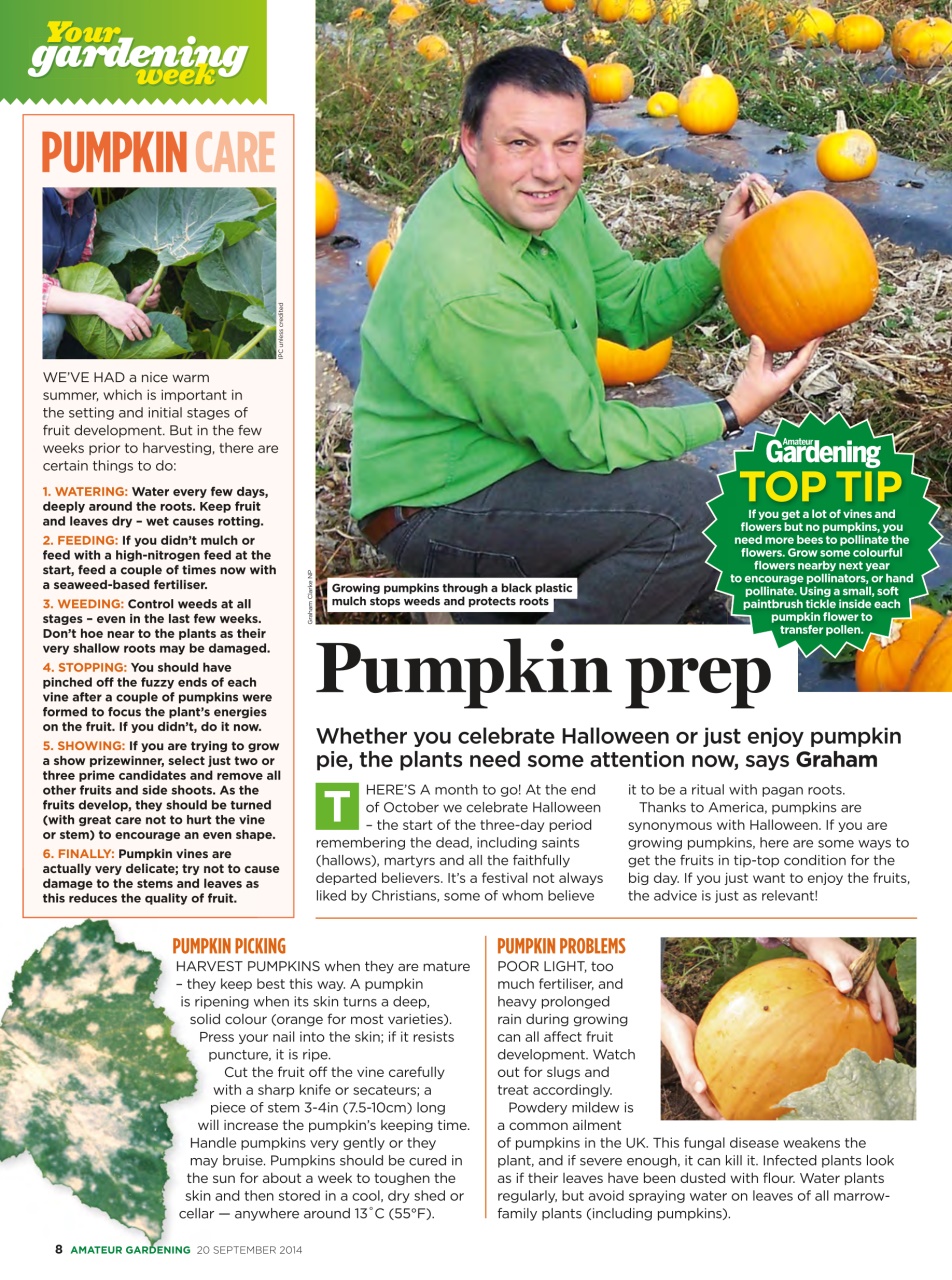 Amateur Gardening Preview Pages