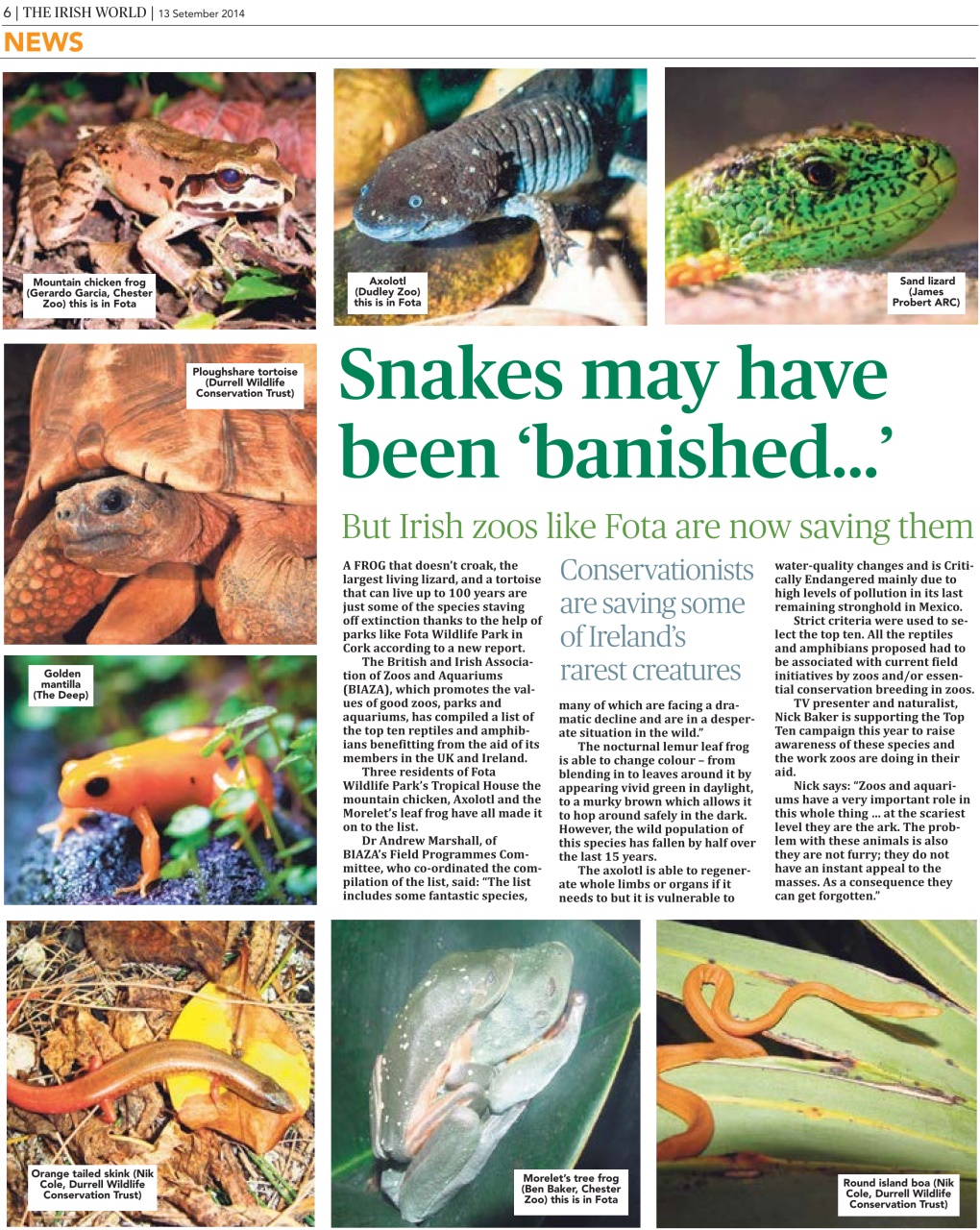 Irish World Preview Pages