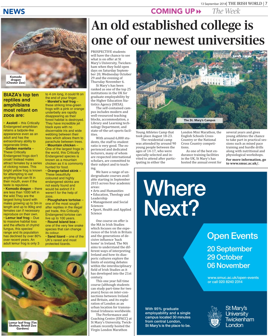 Irish World Preview Pages