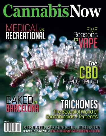 Cannabis Now issue Issue 11