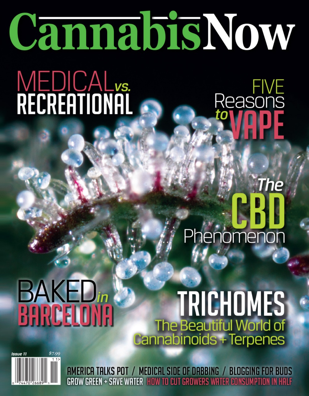 Cannabis Now Preview Pages