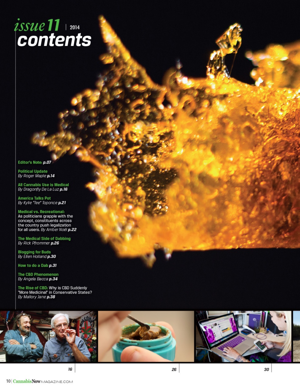 Cannabis Now Preview Pages