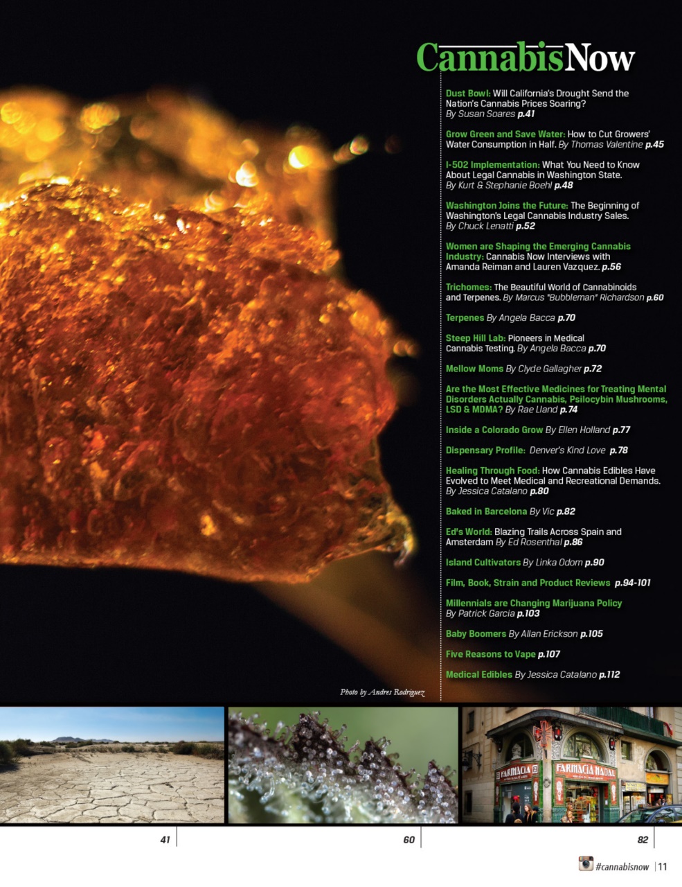 Cannabis Now Preview Pages